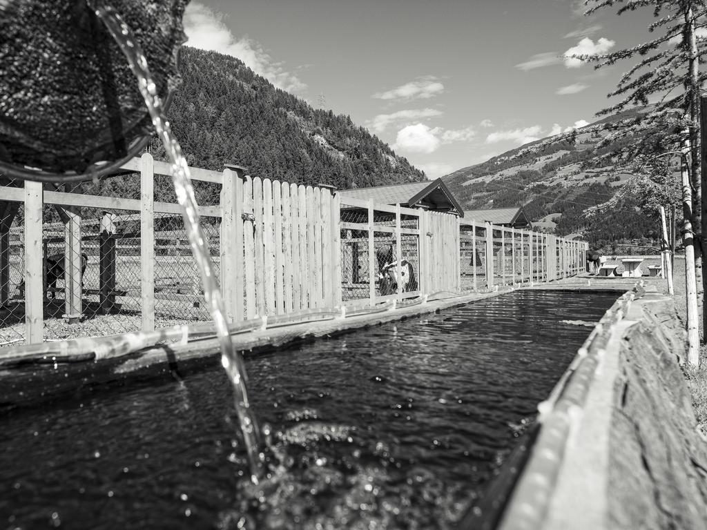 Apartment Sonnenau Zell am Ziller Bagian luar foto